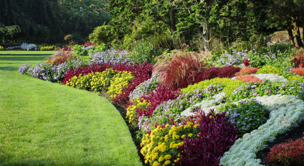 Photo Compost May24 Flower Beds 1100x600
