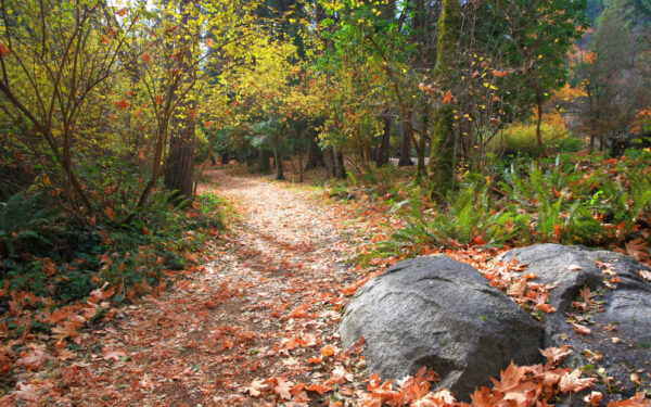 Granite soil