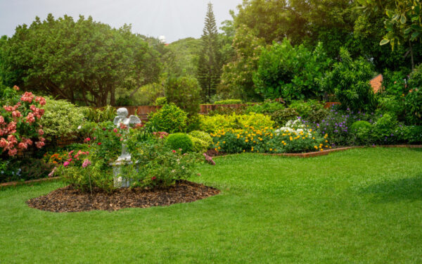Lawn in yard