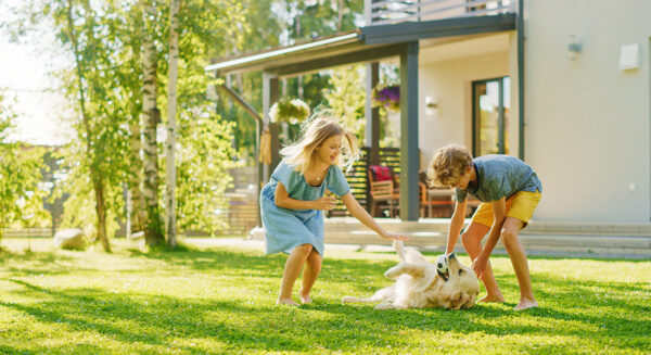 Photo Compost 8 22 Lawn Care 1100x600