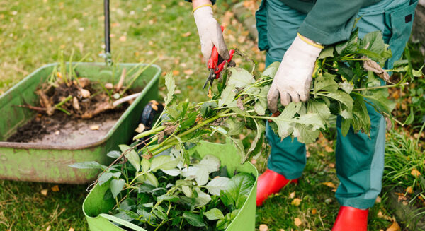 Photo Compost Sept Garden Chore 1100x600