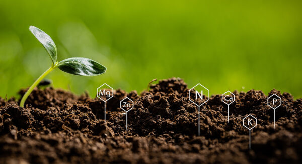 Photo Compost Soil Testing 1100x600